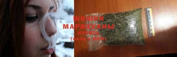 шишки Чердынь