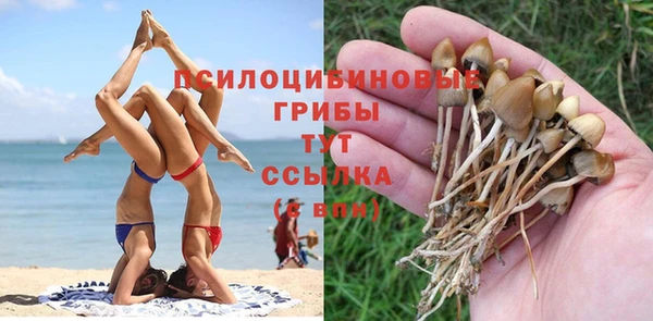 марки lsd Касимов