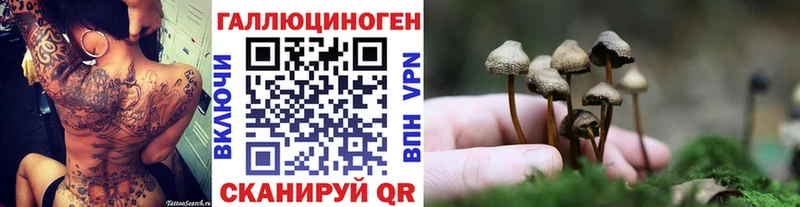 Псилоцибиновые грибы Psilocybe  Королёв 